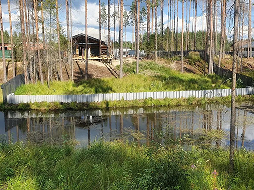 Ленинградская область, Выборгский район, СНТ Рощино Парк